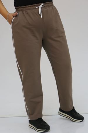 F-49512 Büyük Beden Kıstırma Biyeli İki İplik Eşofman Altı - Vizon