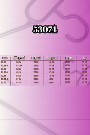 53074 Büyük Beden Fermuarlı Reglan Kol Çelik Ceket - Siyah